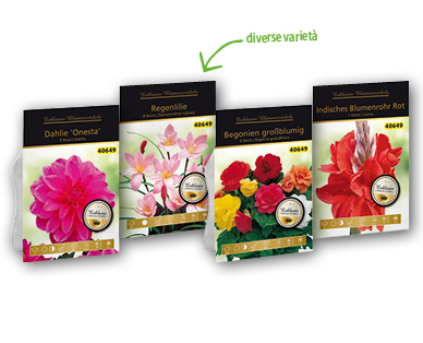 Bulbi da fiore