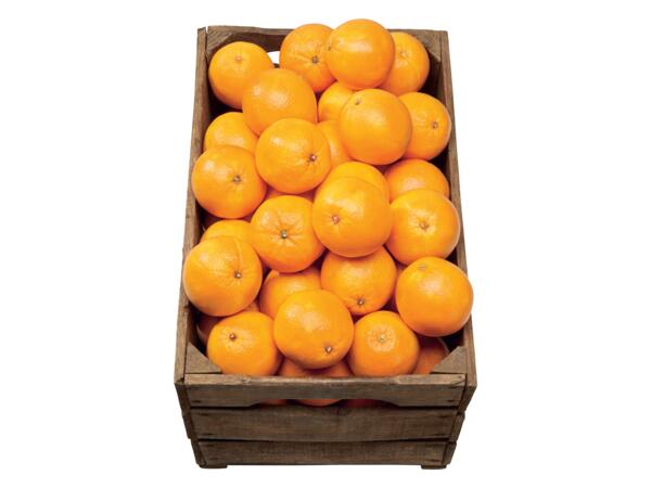 Apelsiner