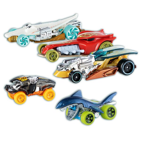 5er-Geschenk-Set
