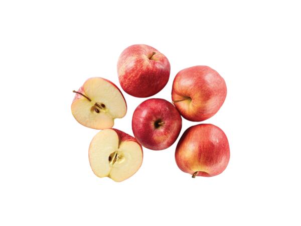 Gala Red Apples Alto Adige PGI