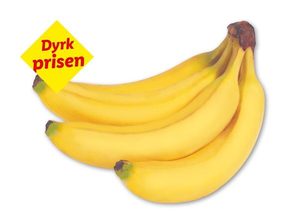 Rainforest-banan