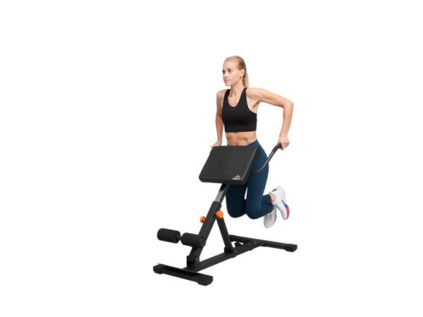 Multi Trainer