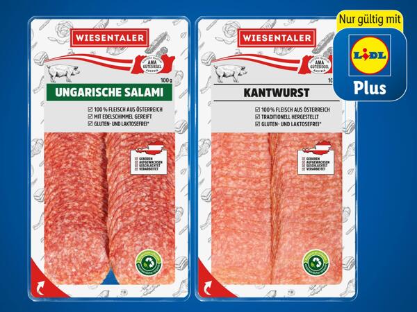 Ungarische Salami oder Kantwurst