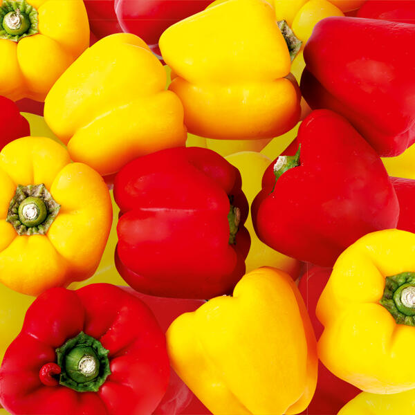 Paprika Sweet Mix