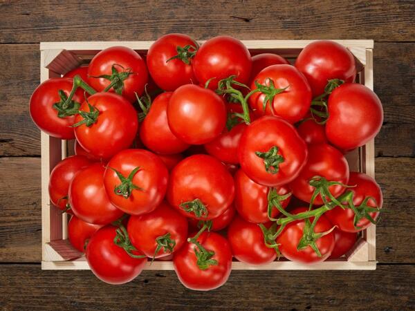 Tomates en grappe