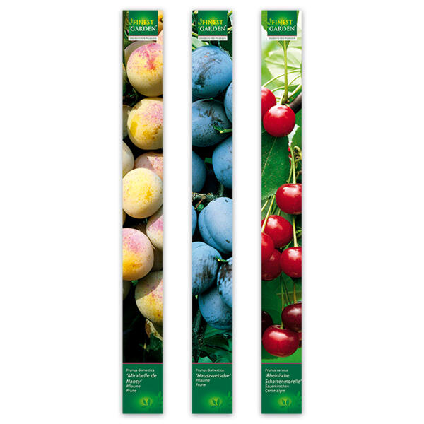 Obstbäume