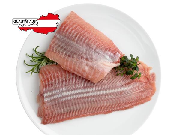 Frisches Welsfilet