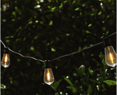 LED Festoon Lights