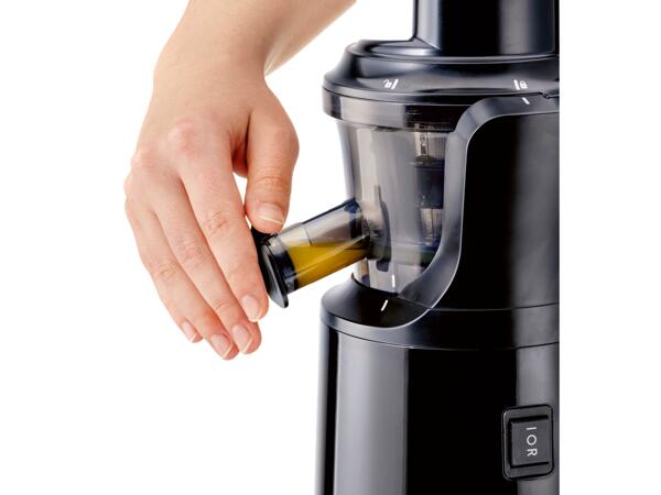 300W Slow Juicer