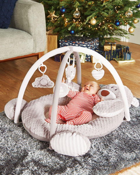 Baby Play Gym