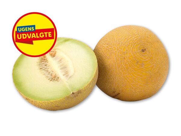 Galiamelon