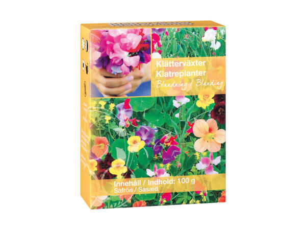 Frøblanding til vild- og sommerblomster