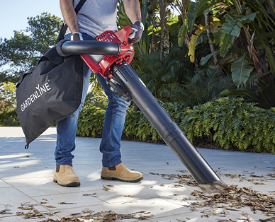 4-Stroke Blower Vac
