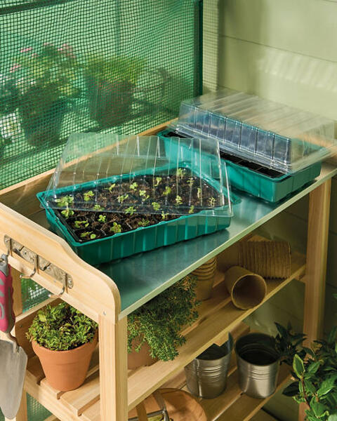 Propagator