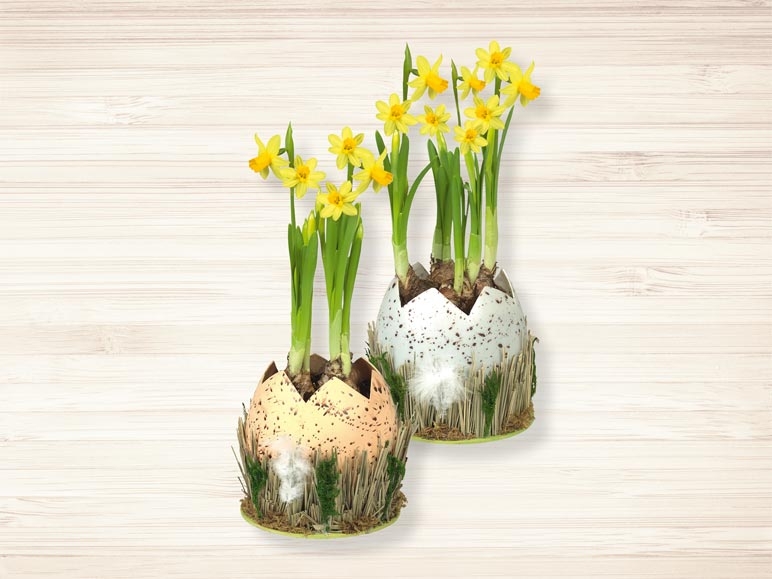 Œuf de Pâques avec narcisses (dès 23.3.)