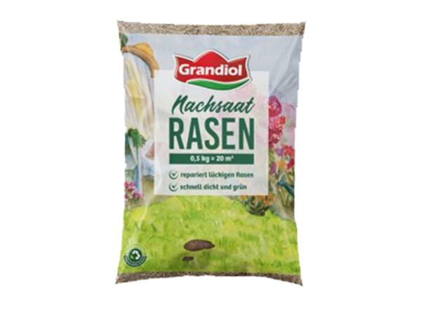 Gräsfrö eftersådd