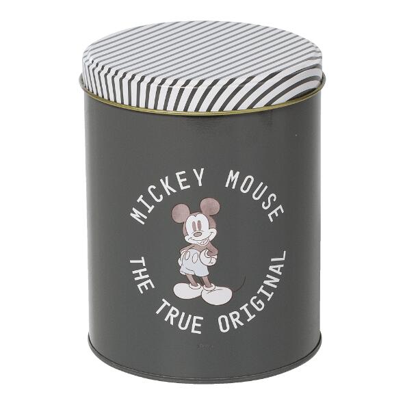 DISNEY(R) 				Bewaardozen, 2 st.