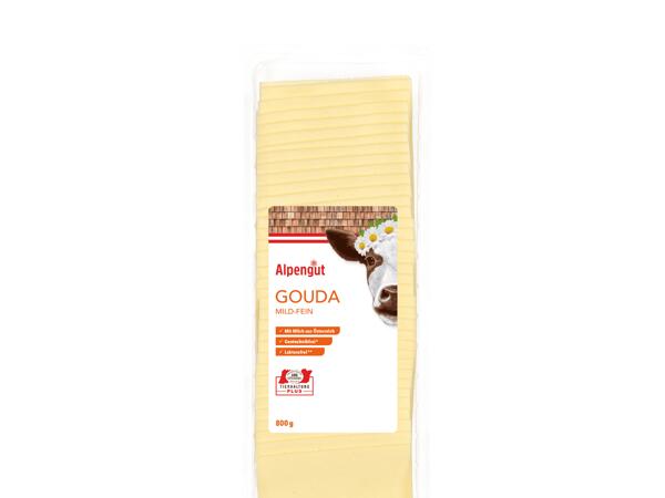 Gouda in Scheiben