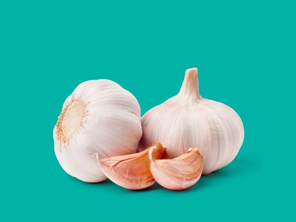 Garlic