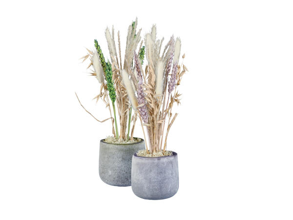 Torkade blommor i frostat glas