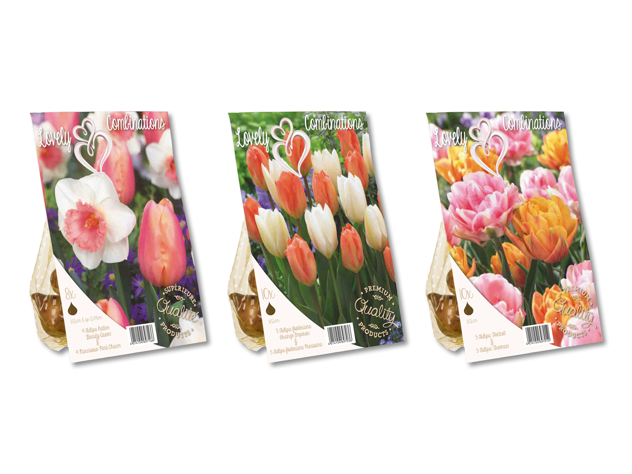 Bulbes à fleurs "Composition de couleurs"