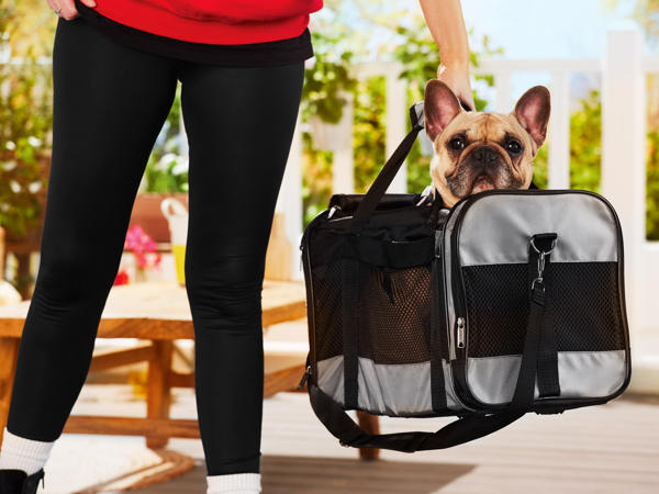 Pet Carrier