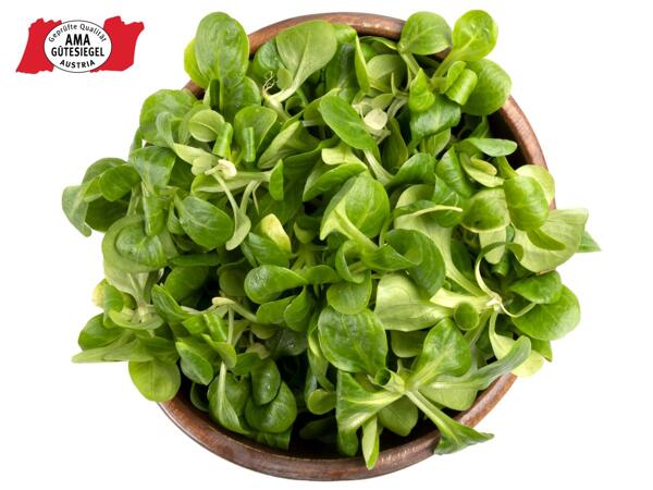 Vogerlsalat aus Österreich