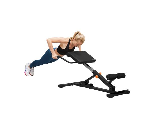 Multi Trainer