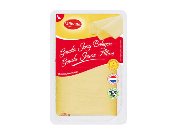 Gouda jeune affiné
