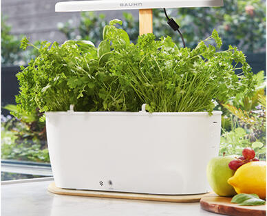 Smart Indoor Planter with Wi Fi