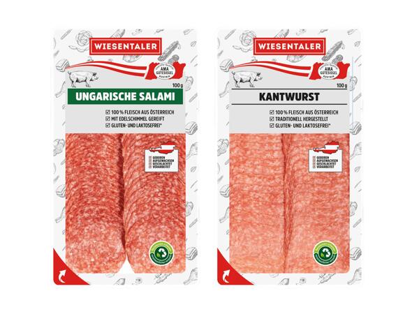Ungarische Salami oder Kantwurst