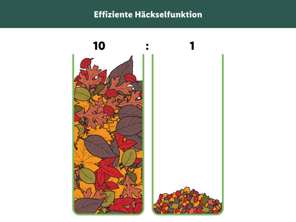 Elektro-Laubsauger/-bläser