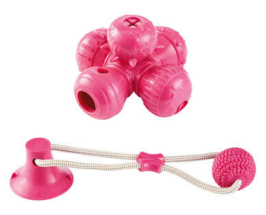 Active Pet Toy Assortment