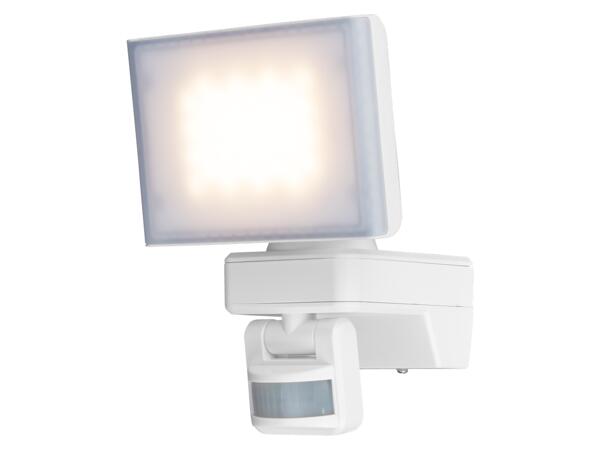 LED Outdoor Light