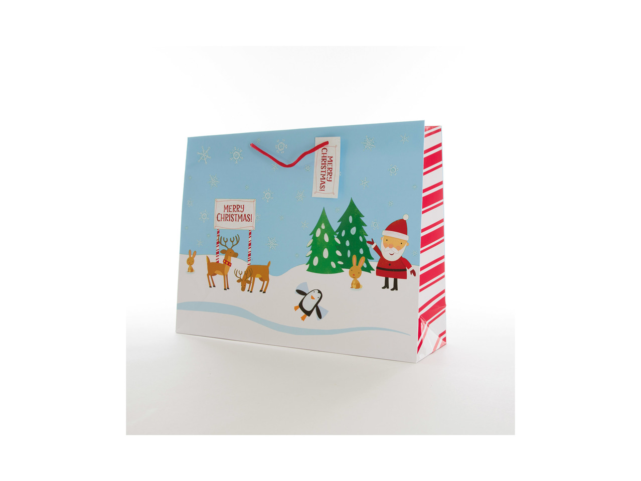Kids' Large Gift Bag1