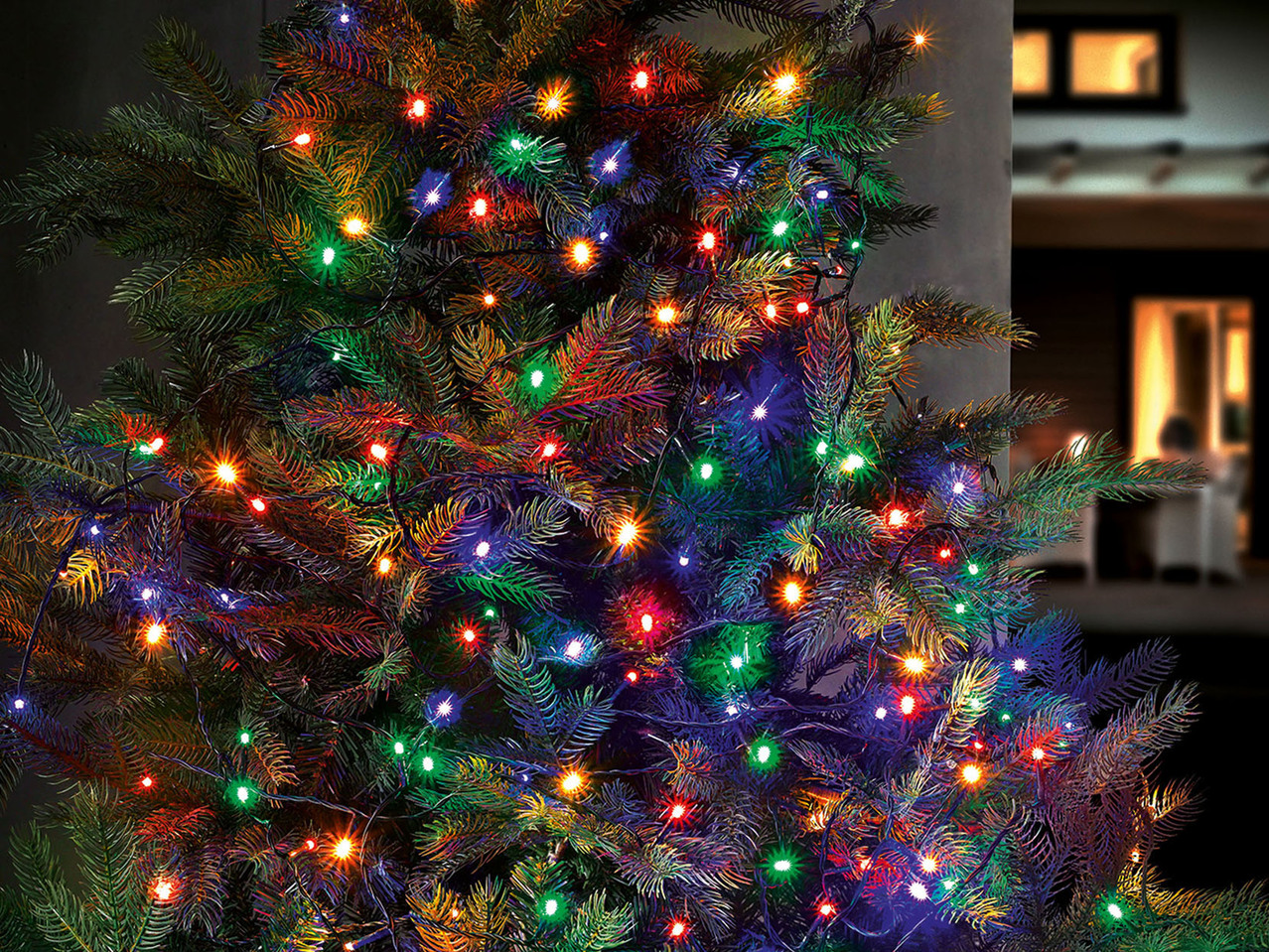 LED Fairy Lights