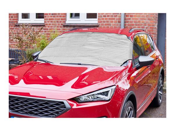 Ultimate Speed Year Round Windscreen Protector