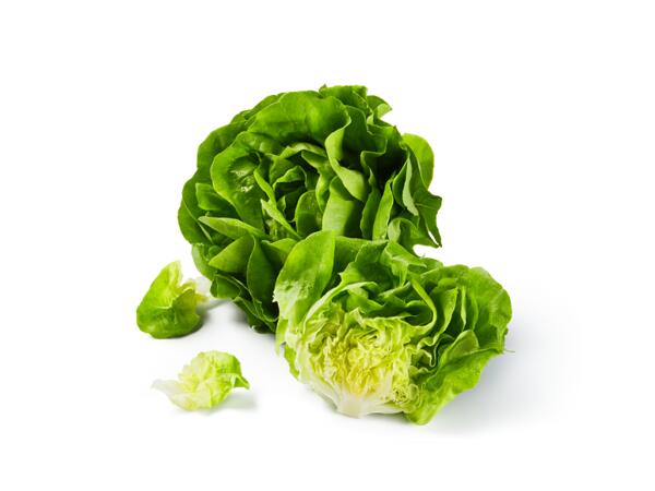 Lattuce