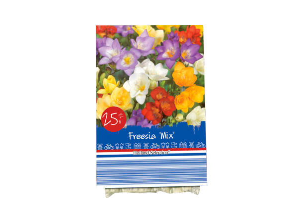 Autumn Flowering Bulbs
