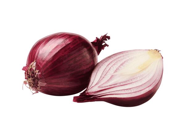 Cibule červená