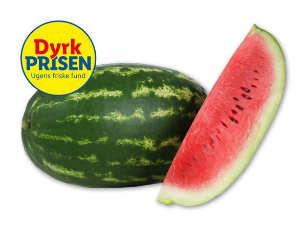 XXL vandmelon
