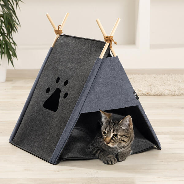 Katzen-Tipi
