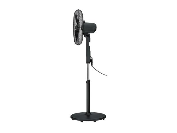 Black Pedestal Fan