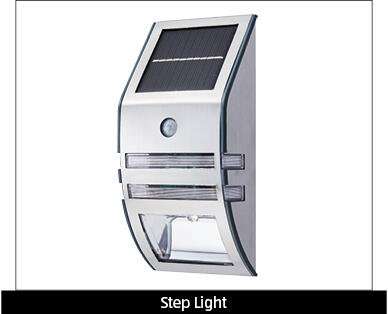 Solar Step or Wall Light