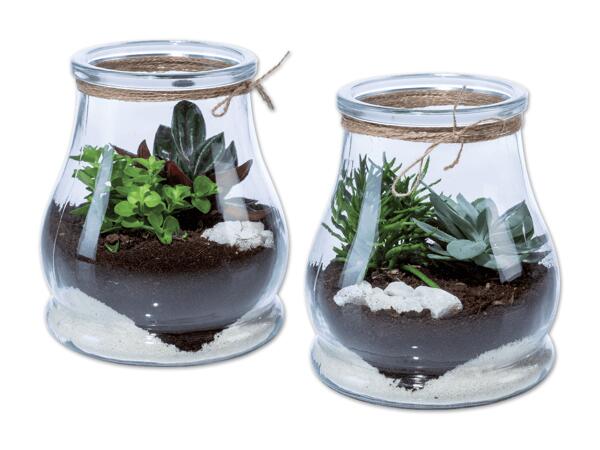 Mini Garten im Glas