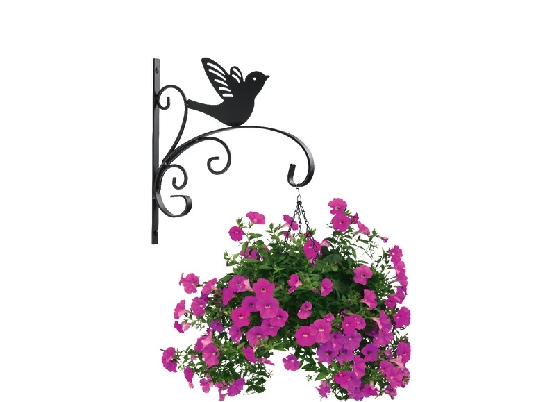 Hanging Basket Bracket