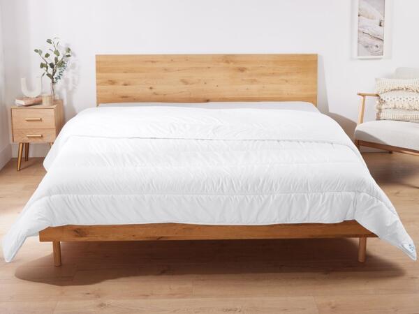 Dust Mite Duvet King