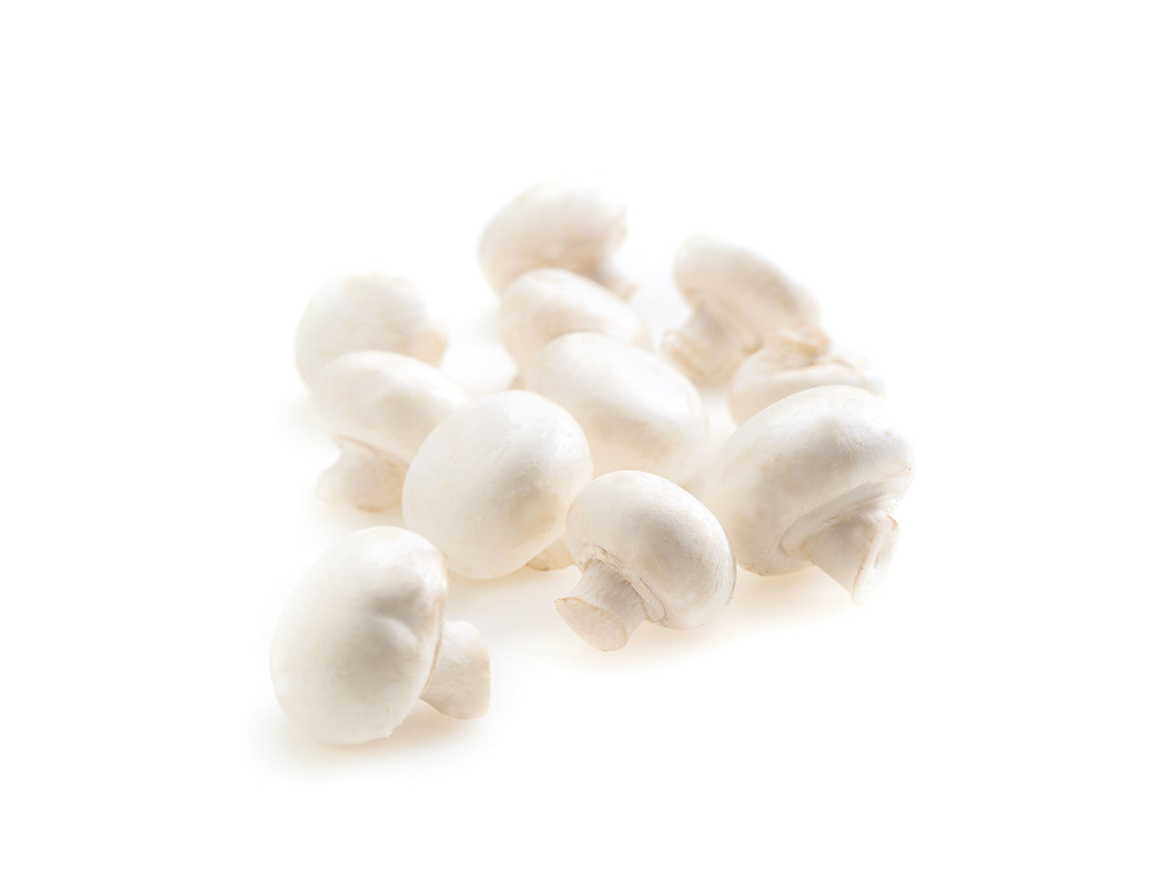 Champignons