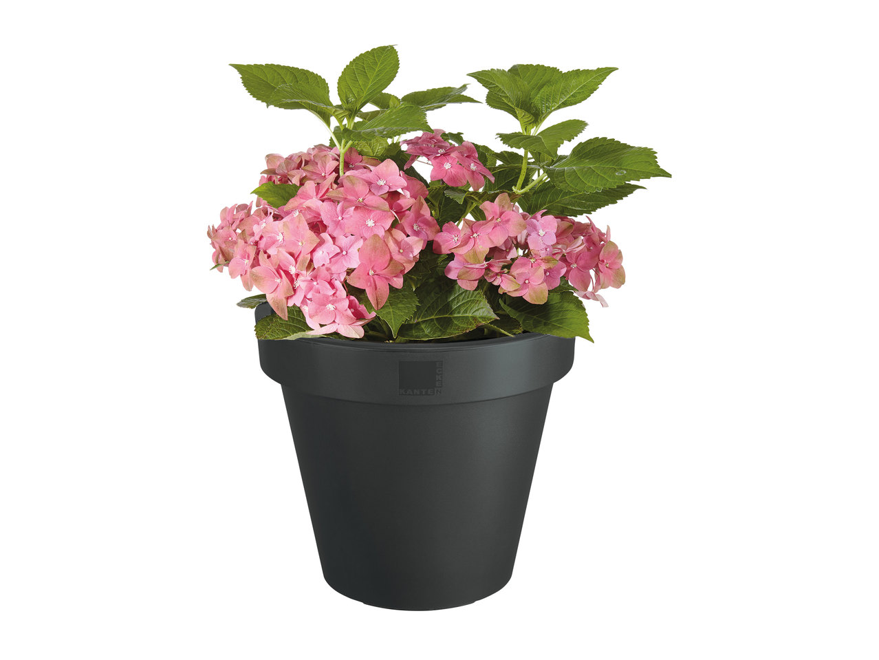 Florabest Planter1