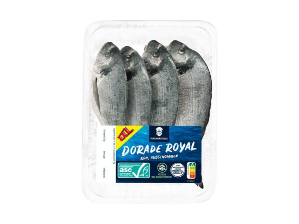 Frische Dorade 4er